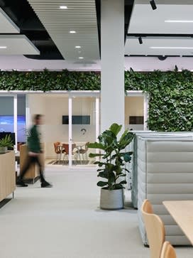 Beringea office